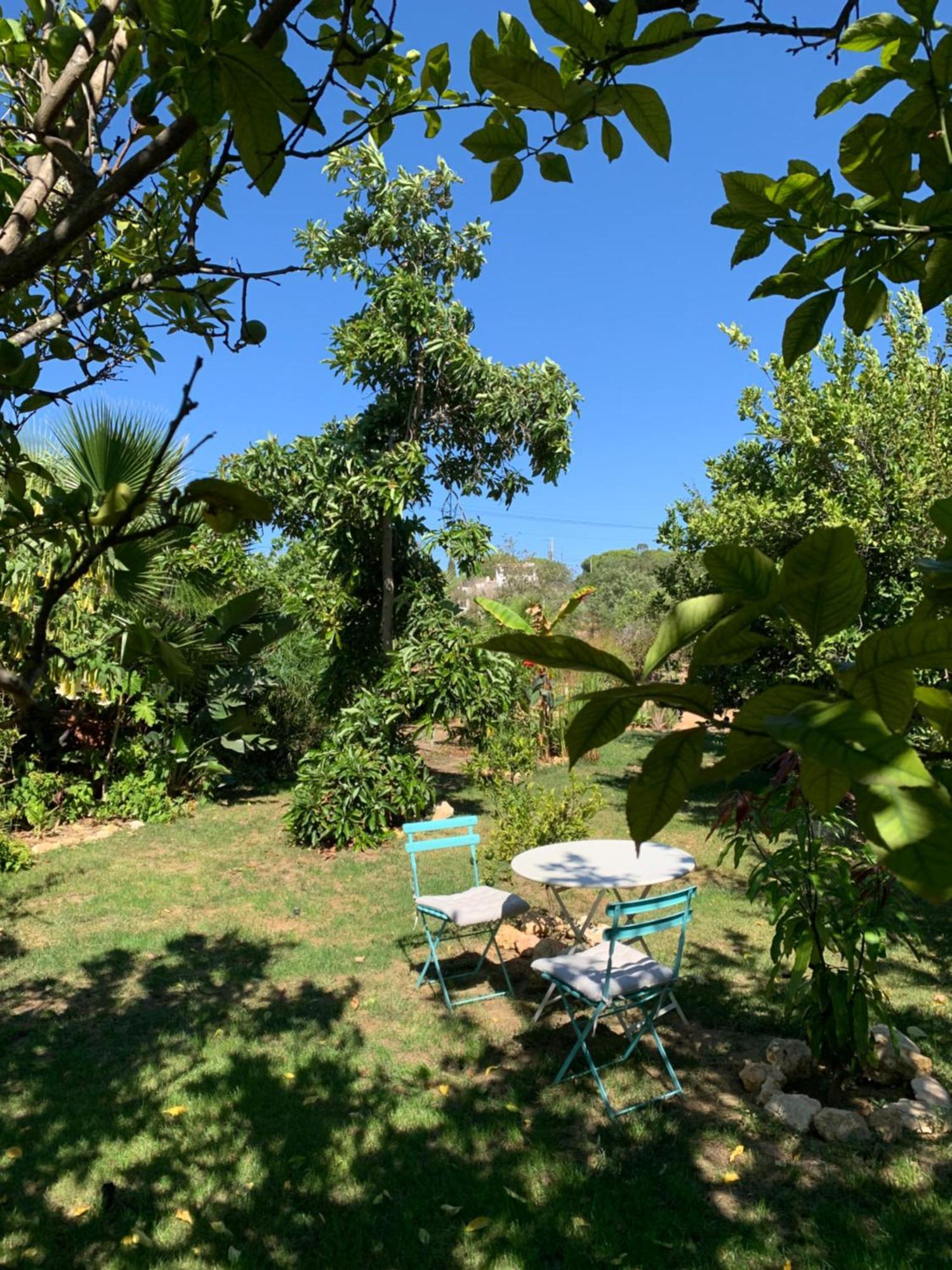 A Tranquil Garden Apartment, Carvoeiro - Benagil エクステリア 写真