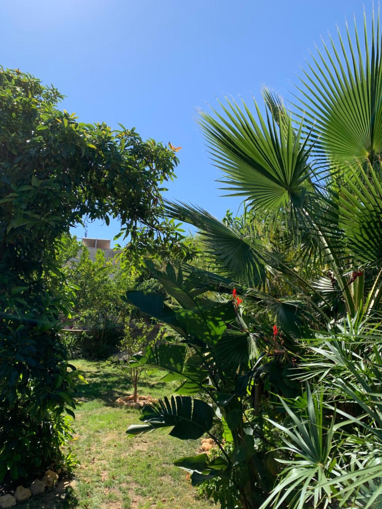 A Tranquil Garden Apartment, Carvoeiro - Benagil エクステリア 写真