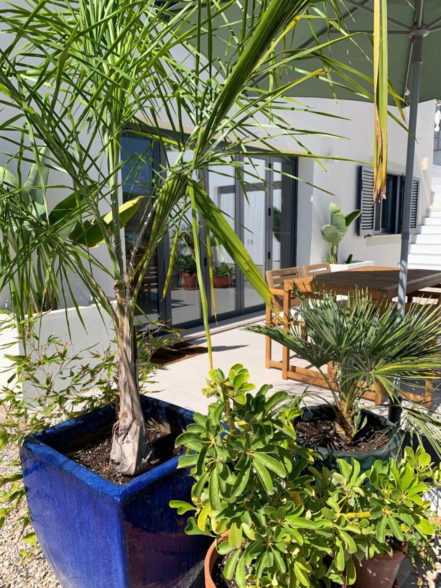 A Tranquil Garden Apartment, Carvoeiro - Benagil エクステリア 写真